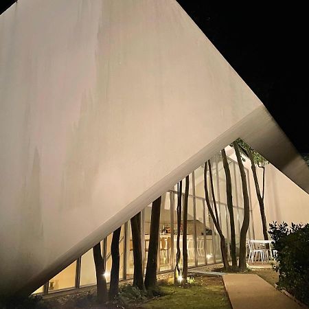 Slope Design Villa - Architecture Villa With Private Pool Ponte de Lima Exterior foto